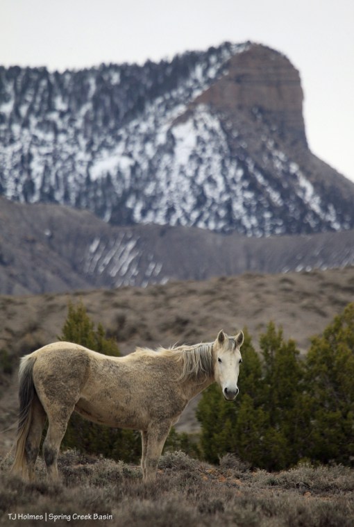 Piedra; Temple Butte