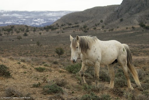 Storm with bands in the background.
