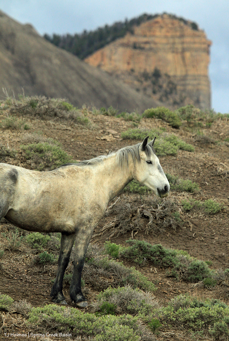 Maia; Temple Butte and McKenna Peak