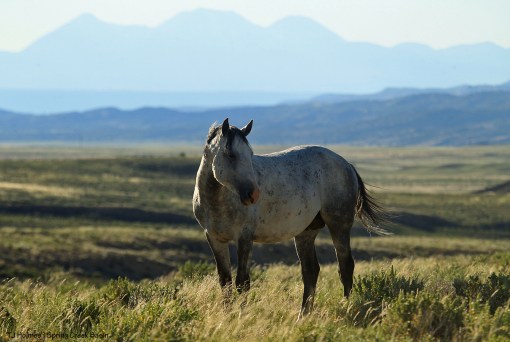 Skywalker; La Sal Mountains