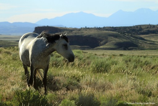 Temple; La Sal Mountains