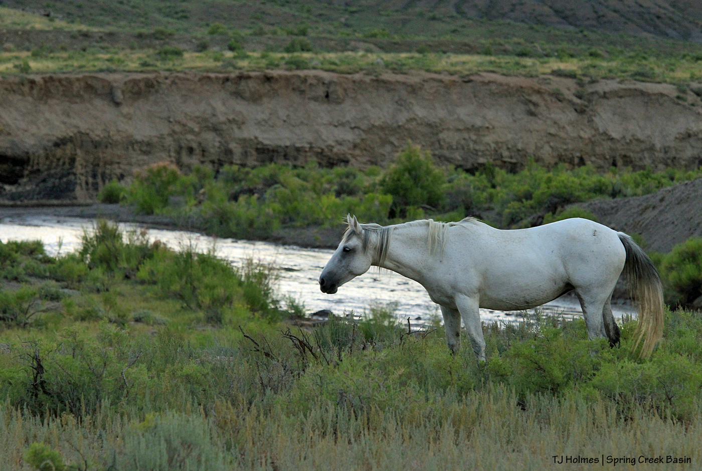 Piedra above Spring Creek