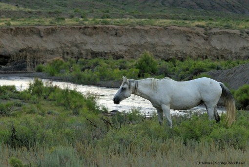 Piedra above Spring Creek