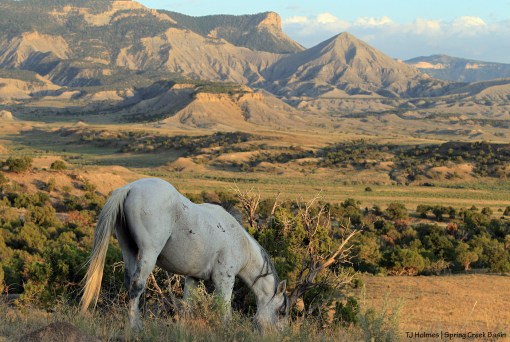 090819comanchetbmck1