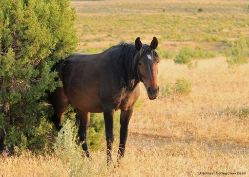 092519CassidyRainitch1