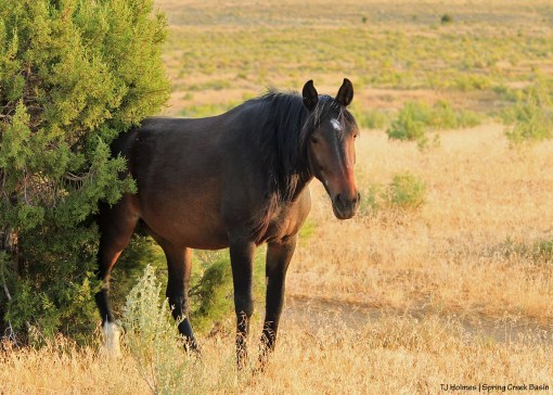 092519CassidyRainitch2