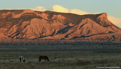 092719CorazonTesoratbmck1