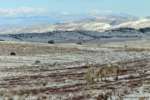 102819AlegreHoudini1