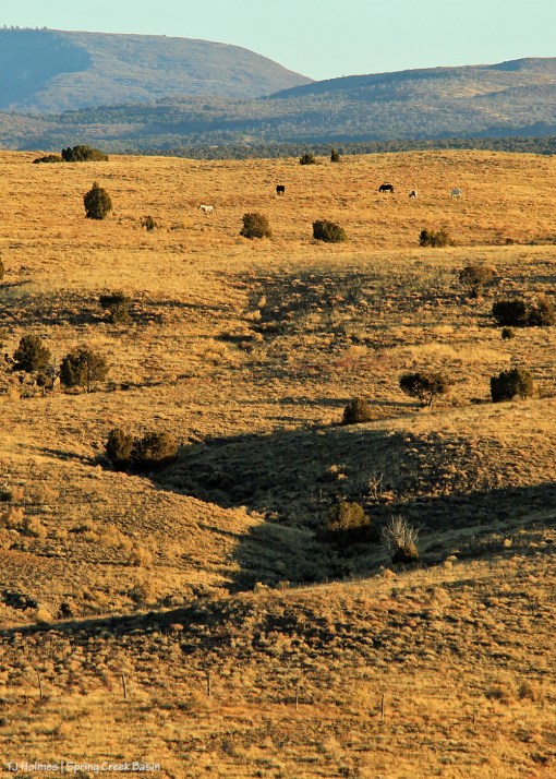 111619corralhillband1