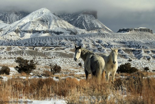 011020MaiaAlegremcktb1