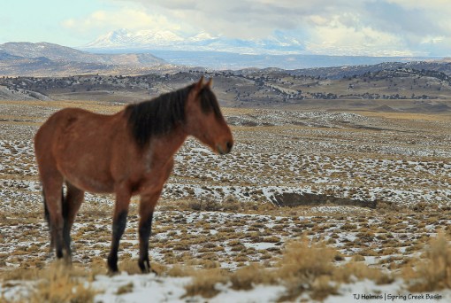 012720TenazLaSals-oof1