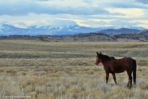 020720Madisonlasals1