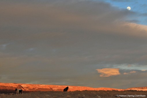 020720MaikuCorazonmoon1