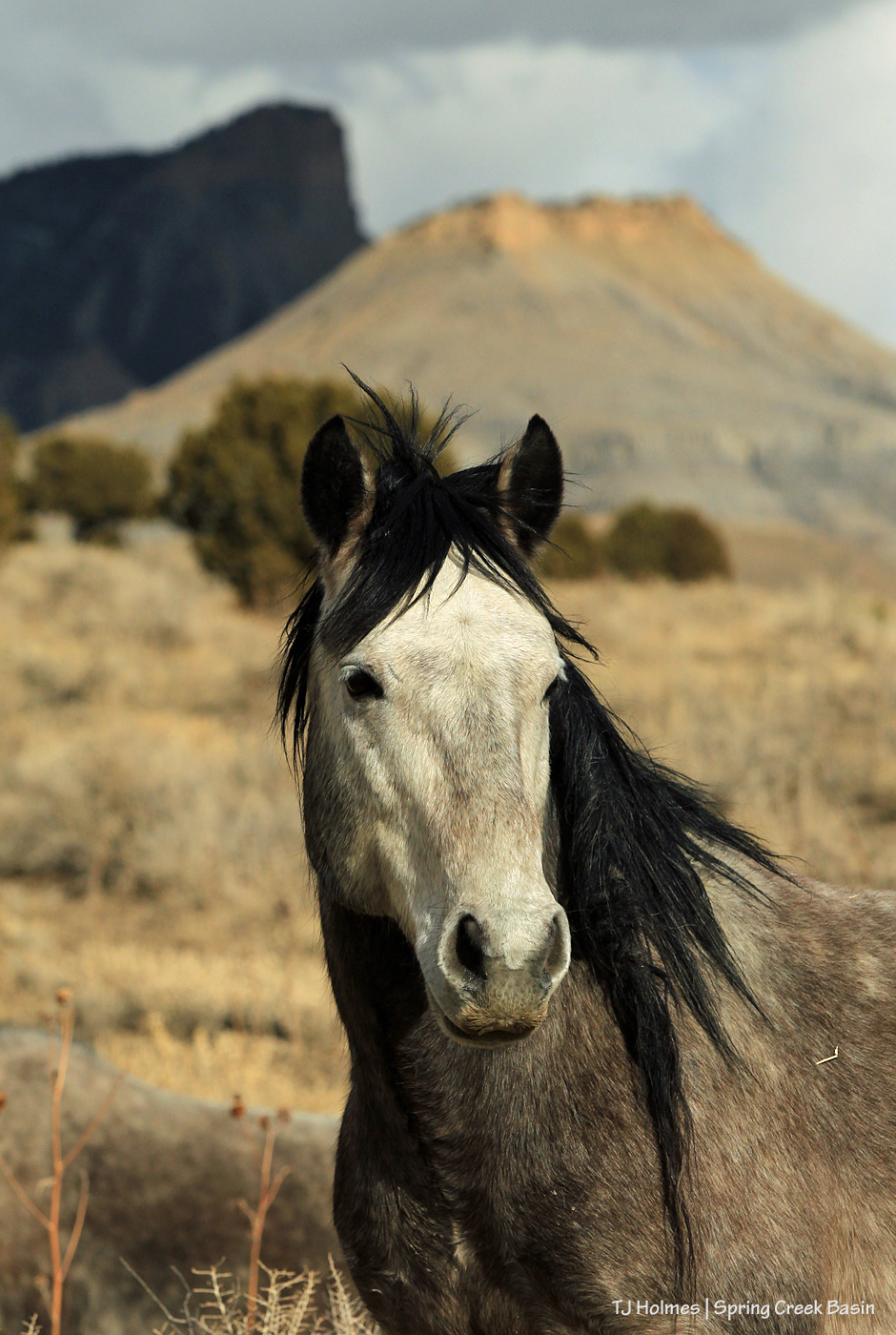 030820Killiantbbrum1