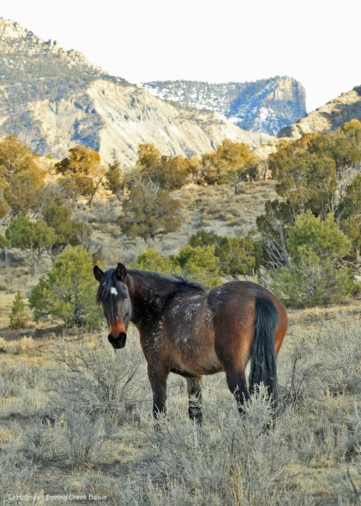 030920CassidyRaintb1