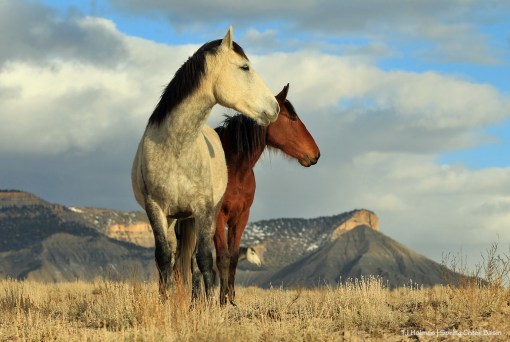 032820TempleMadisontbmck1