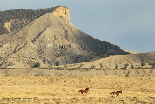 041320HaydenCoppertbmck1