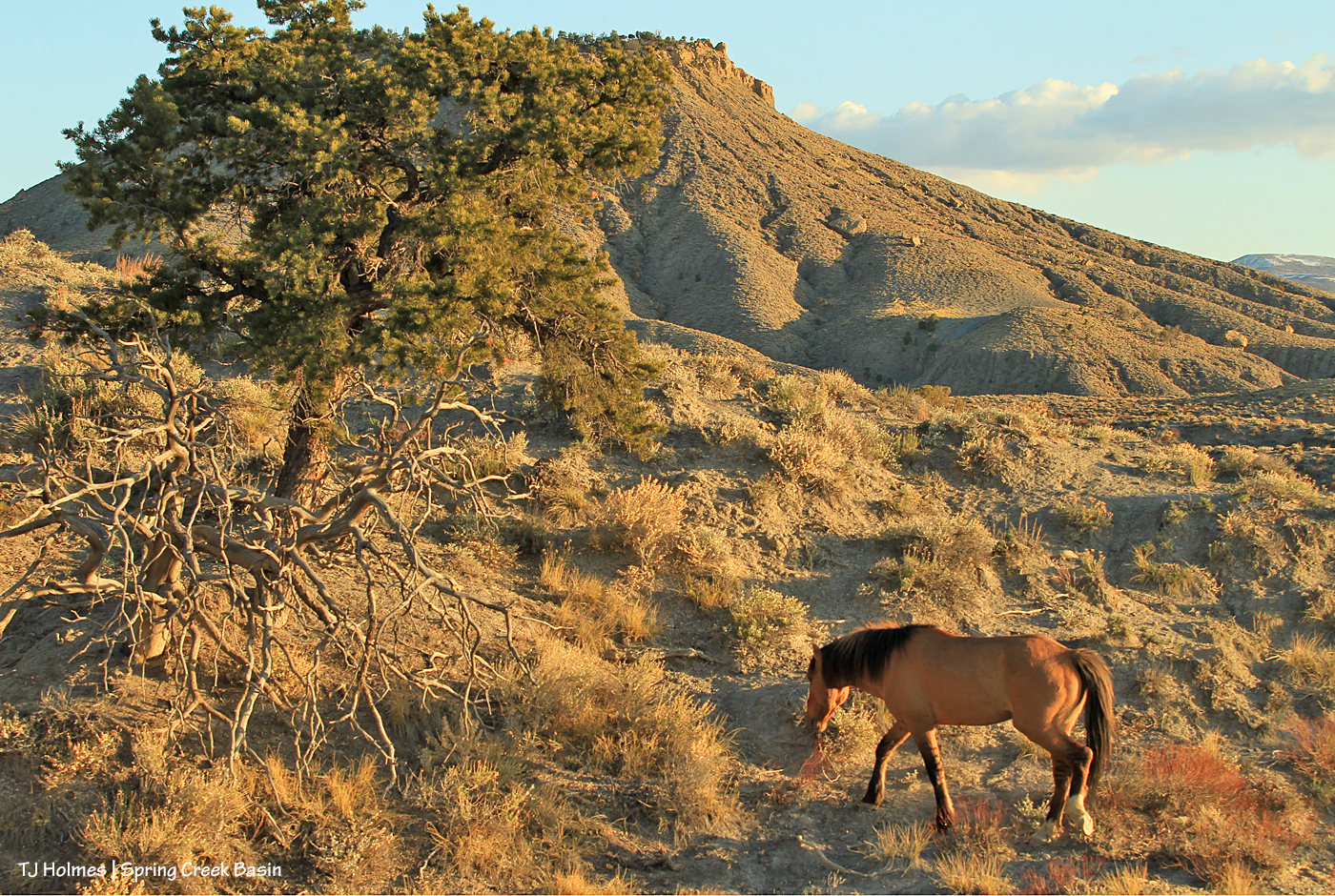 042220HollywoodBrumley1