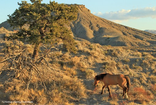 042220HollywoodBrumley1