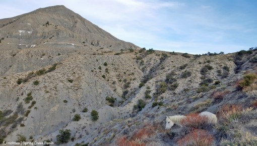 042520MysteriumMcKennaPeak1